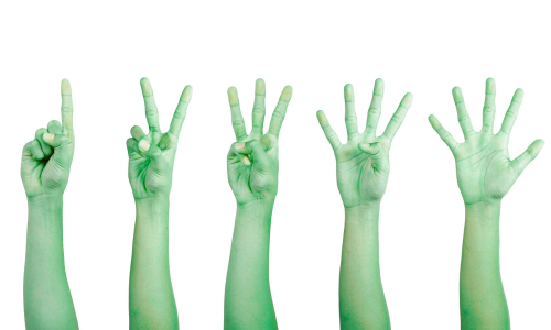 Hands Counting to 5